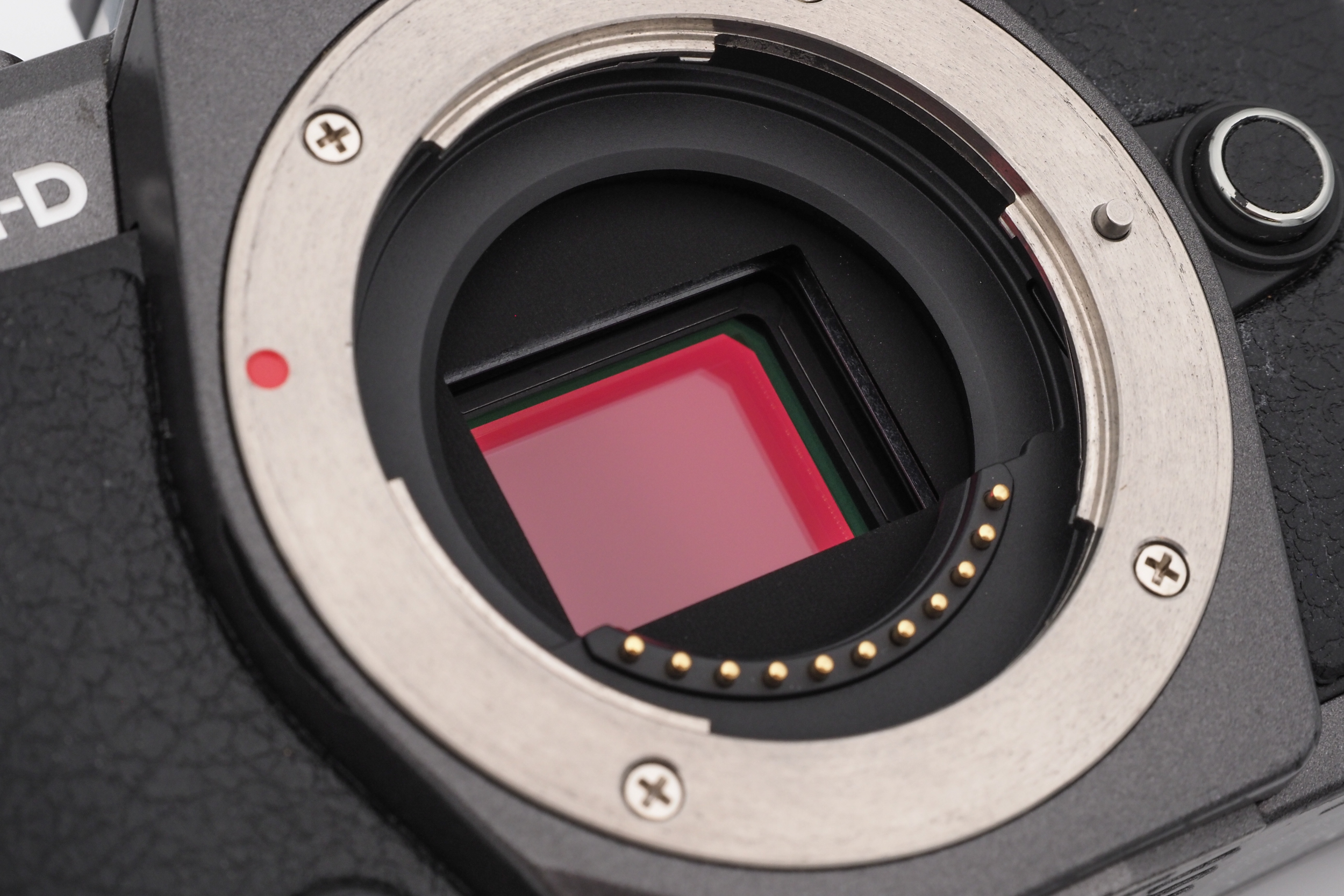 Olympus OM-D E-M5 II Limited Edition