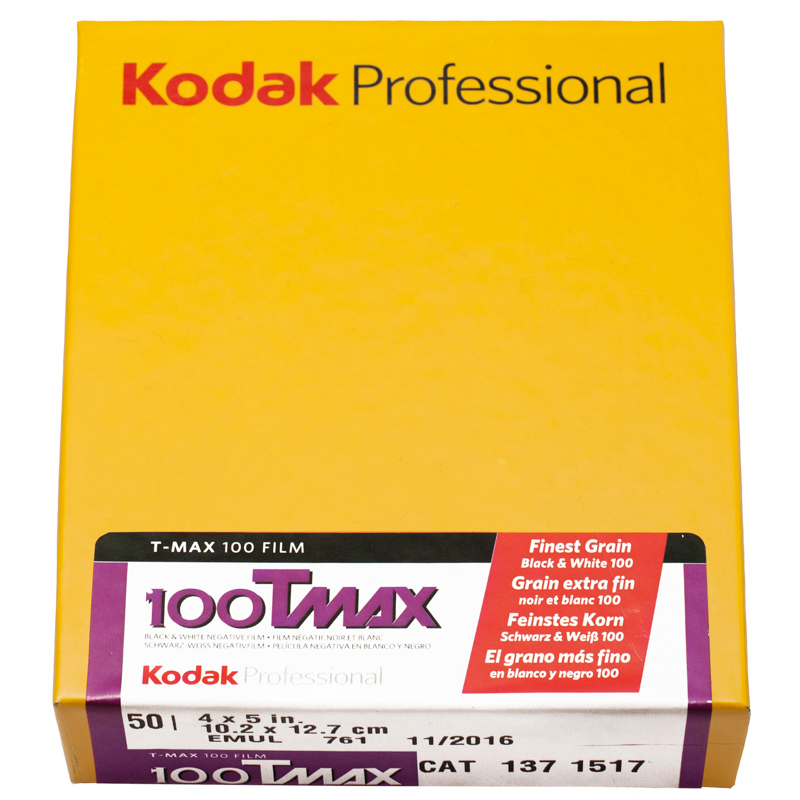 Kodak Tmax 100 4x5"